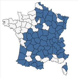 Répartition de Carex flava L. en France