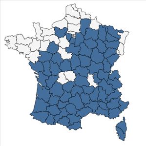 Répartition de Carex halleriana Asso en France