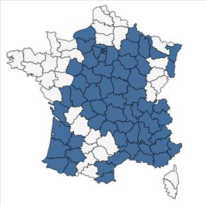 Répartition de Cirsium vulgare (Savi) Ten. subsp. vulgare en France