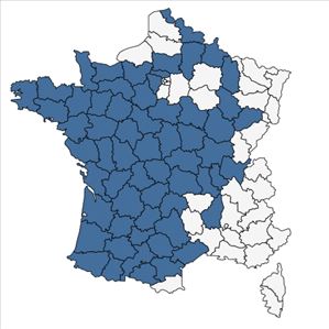 Répartition de Carex laevigata Sm. en France