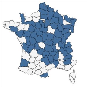 Répartition de Carex lasiocarpa Ehrh. en France