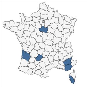 Répartition de Crocus sativus L. en France