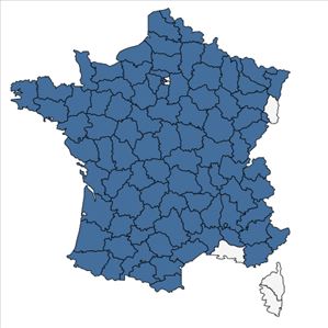 Répartition de Carex paniculata L. en France