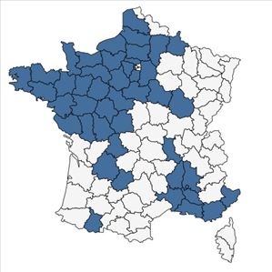 Répartition de Doronicum plantagineum L. en France