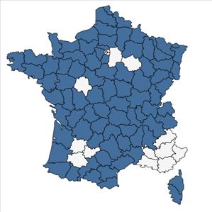 Répartition de Epilobium obscurum Schreb. en France