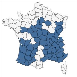 Répartition de Equisetum x moorei Newman en France