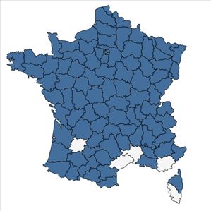 Répartition de Carex vesicaria L. en France