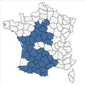 Répartition de Carthamus mitissimus L. en France