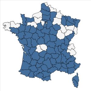 Répartition de Centaurea calcitrapa L. en France