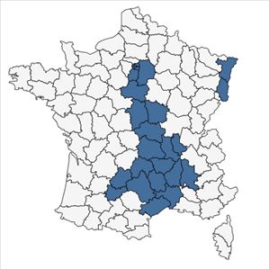 Répartition de Centaurea maculosa Lam. en France