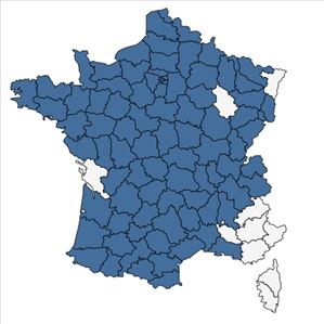 Répartition de Centaurea nigra L. en France