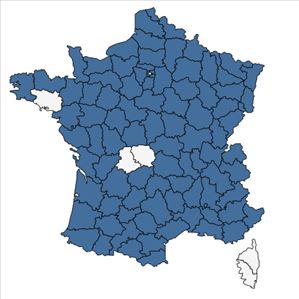 Répartition de Centaurea scabiosa L. en France