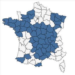 Répartition de Galeopsis segetum Neck. en France