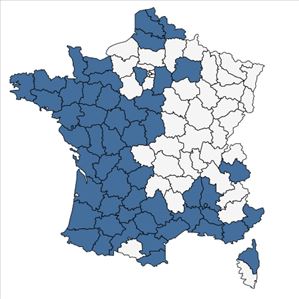 Répartition de Galium debile Desv. en France