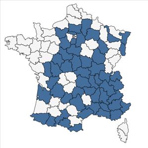 Répartition de Galium glaucum L. en France