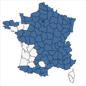 Répartition de Cerastium arvense L. en France