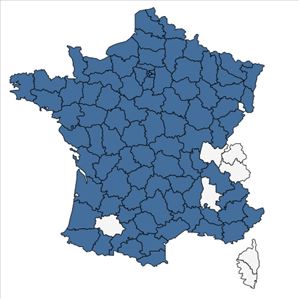 Répartition de Cerastium fontanum Baumg. en France