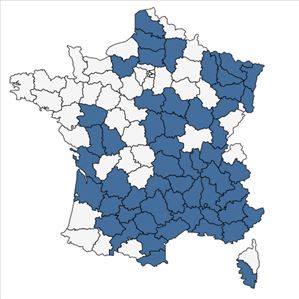 Répartition de Adonis flammea Jacq. en France