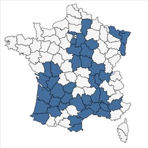 Répartition de Globularia vulgaris L. en France