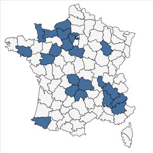 Répartition de Ceratochloa carinata (Hook. & Arn.) Tutin en France