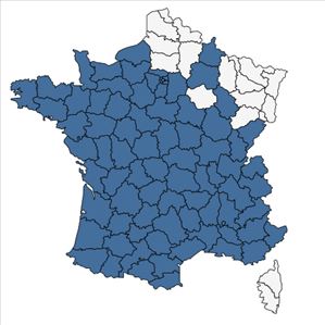 Répartition de Ceratochloa cathartica (Vahl) Herter en France