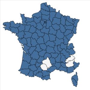 Répartition de Ceratophyllum demersum L. en France