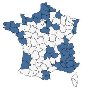 Répartition de Hippophae rhamnoides L. en France