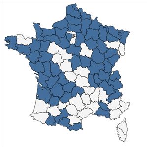 Répartition de Hippuris vulgaris L. en France