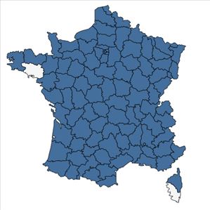 Répartition de Chaenorhinum minus (L.) Lange en France
