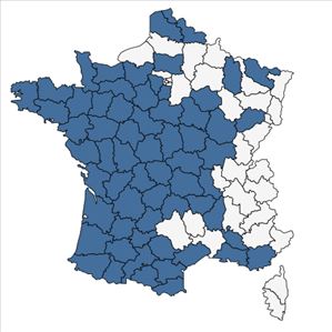 Répartition de Chamaemelum nobile (L.) All. en France