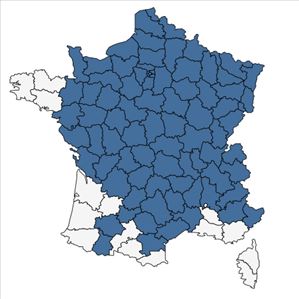 Répartition de Adoxa moschatellina L. en France