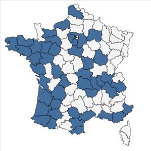 Répartition de Hyacinthoides hispanica (Mill.) Rothm. en France