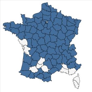 Répartition de Hypericum maculatum Crantz en France