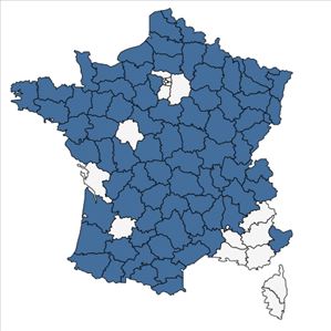 Répartition de Chrysosplenium oppositifolium L. en France