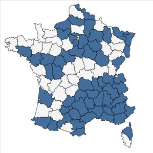 Répartition de Isatis tinctoria L. en France