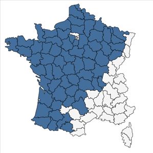 Répartition de Cirsium dissectum (L.) Hill en France