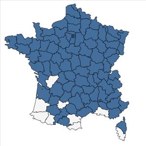 Répartition de Aegopodium podagraria L. en France