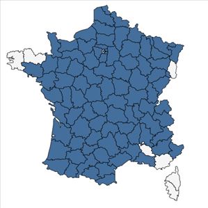 Répartition de Cirsium eriophorum (L.) Scop. en France