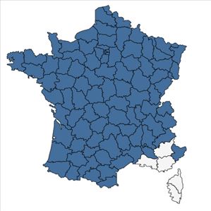 Répartition de Cirsium palustre (L.) Scop. en France