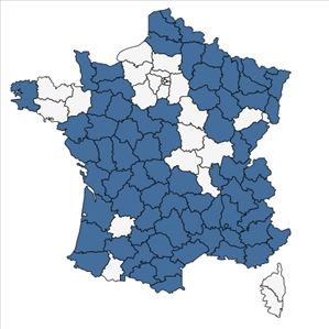 Répartition de Cirsium tuberosum (L.) All. en France