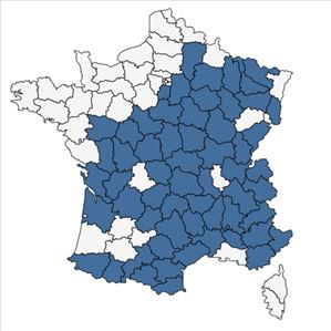 Répartition de Laserpitium latifolium L. en France