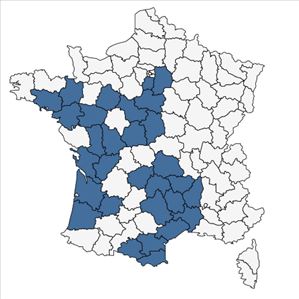 Répartition de Cistus umbellatus L. en France