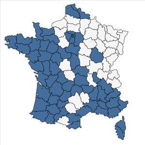 Répartition de Laurus nobilis L. en France