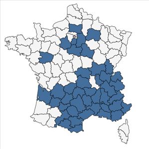 Répartition de Lavandula angustifolia Mill. en France