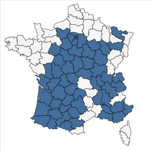 Répartition de Leontodon saxatilis Lam. subsp. saxatilis en France