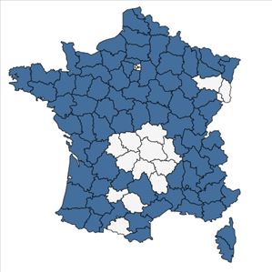 Répartition de Cladium mariscus (L.) Pohl en France
