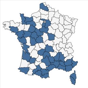 Répartition de Clematis flammula L. en France