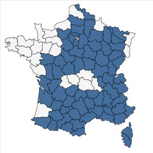 Répartition de Limodorum abortivum (L.) Sw. en France