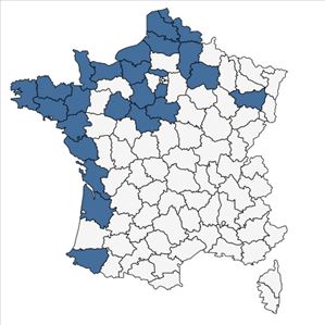Répartition de Cochlearia danica L. en France
