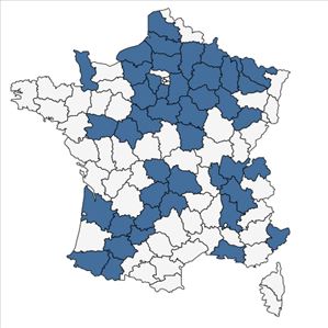 Répartition de Lonicera caprifolium L. en France